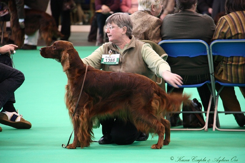 Crufts2011 257.jpg